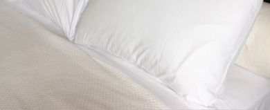 Eiderdown Pillow